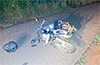 Sullia: Rider injured as stags jumps on bike